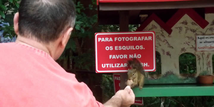 Esquilos de Monte Verde - MG