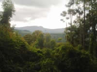 Casa à venda em Monte Verde - MG