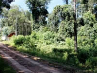 Casa à venda em Monte Verde - MG