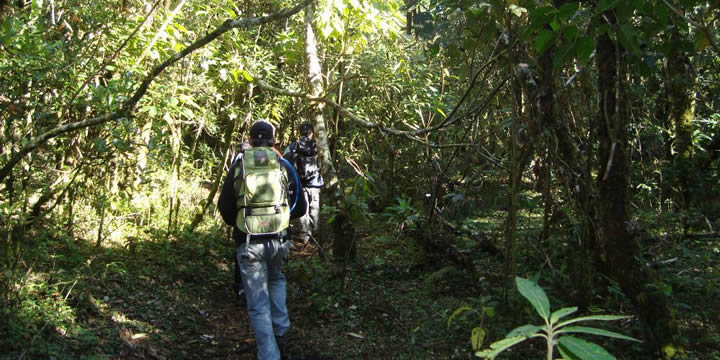 Trilha do Pico Selado