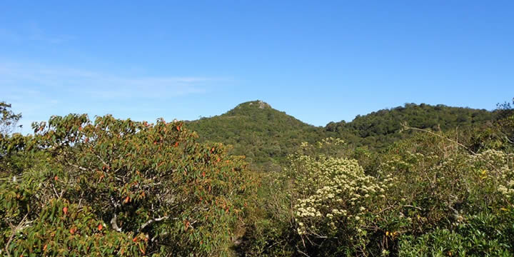 Trilha do Pico Selado