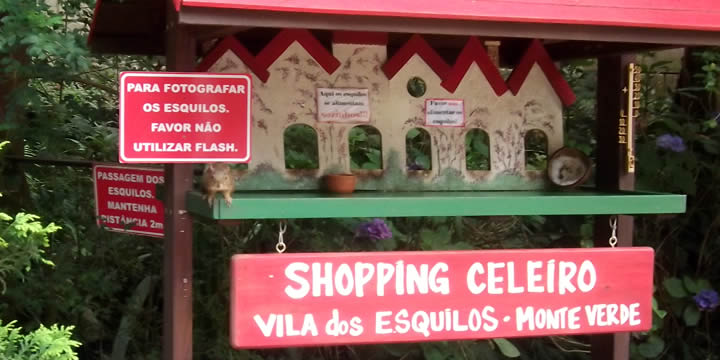 Vila dos Esquilos - Shopping Celeiro de Monte Verde